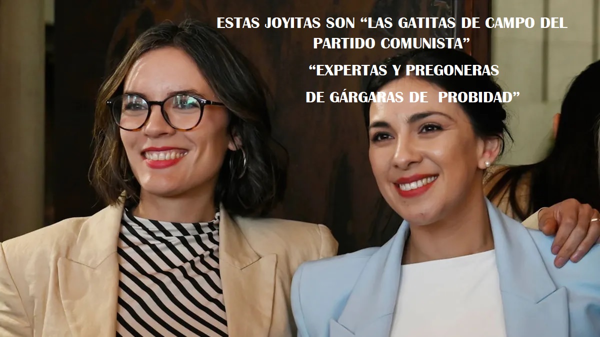 Guillermo Venegas tweet media