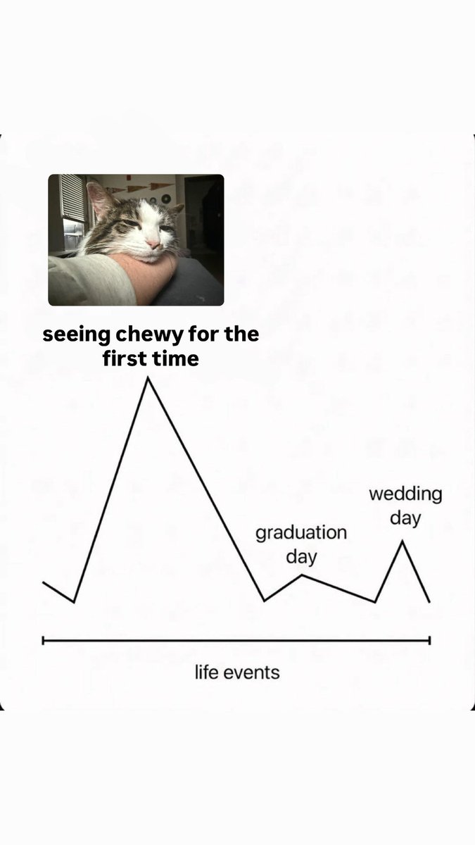 chewy & friends 🌈 lucy tweet media