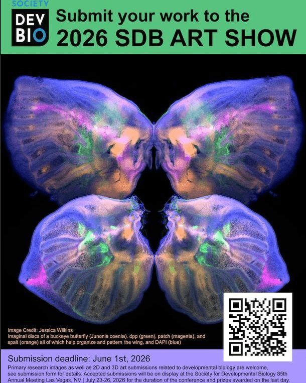 SocDevBio's tweet photo. ✨ 2026 SDB Art Show 🎨 SDB will host the show at the 85th Annual Meeting in Las Vegas 🎰 Deadline: June 1st ‼️ Open to meeting attendees: 2D &amp; 3D in "Research Images as Art" or "Art Inspired by Research" 🎨  More information:  https://t.co/VYgwxNGpr3 https://t.co/v4fZSZK2Ty
