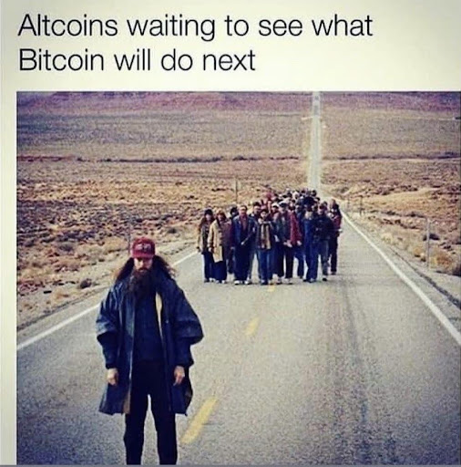 CryptoTab tweet media