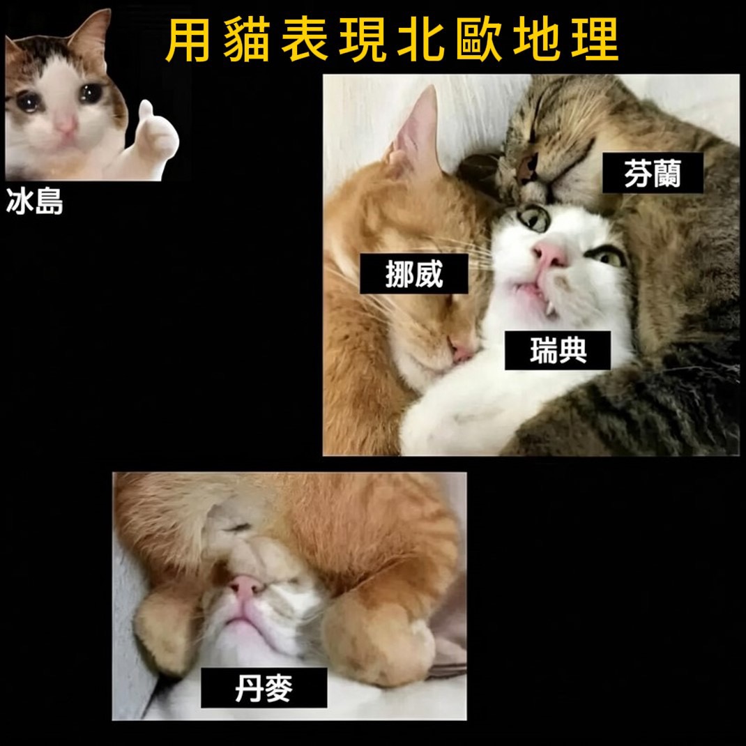 谷伊 tweet media