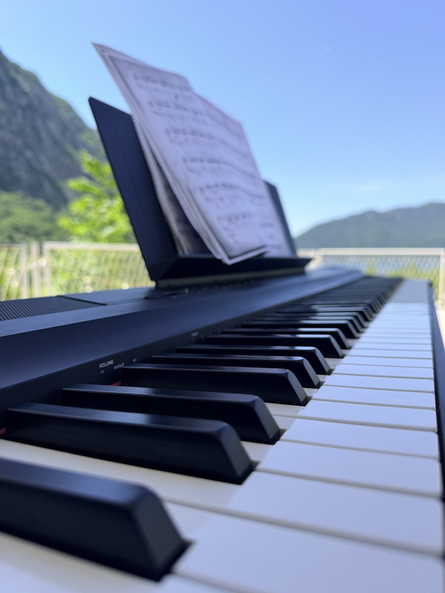 ideasrex's tweet photo. From the moment of it being on the market to the moment I saw it was exactly 11 minutes to the moment of trying it and buying some hour and a half later, here we are again I can practice on the balcony like I did before getting the hybrid that is unmovable with it’s 100kg. 
The original dream when I was studying at the conservatory envisioning of spending deeply alchemical thought processes in nature to actual realization just a few leaps of technology