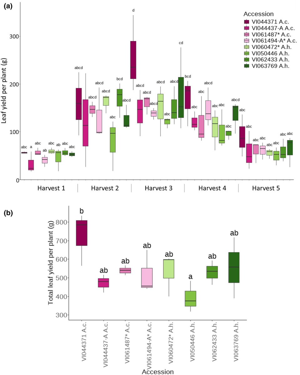 New Phytologist tweet media