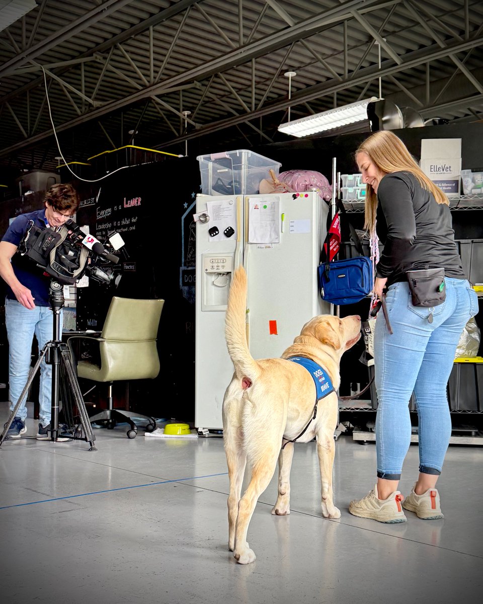 DFOB_HQ's tweet photo. 📺 Mark your calendars for May 28, 6 PM on
@ksdknews! We welcomed @SteveSavardTV yesterday as he sat down with our ED, Bryan Pieschel, for an upcoming feature in Steve’s powerful new veteran storytelling series.

📺05/28, 6pm

#VeteranStories #ServiceDogs #ksdktv #dogsforourbrave https://t.co/KsCnVOxMyF