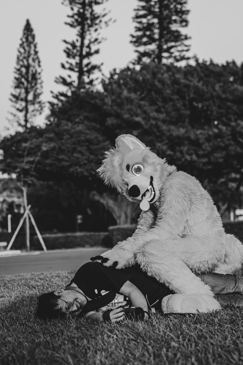 🌈橙色🐺UTFG🧳🍌 tweet media