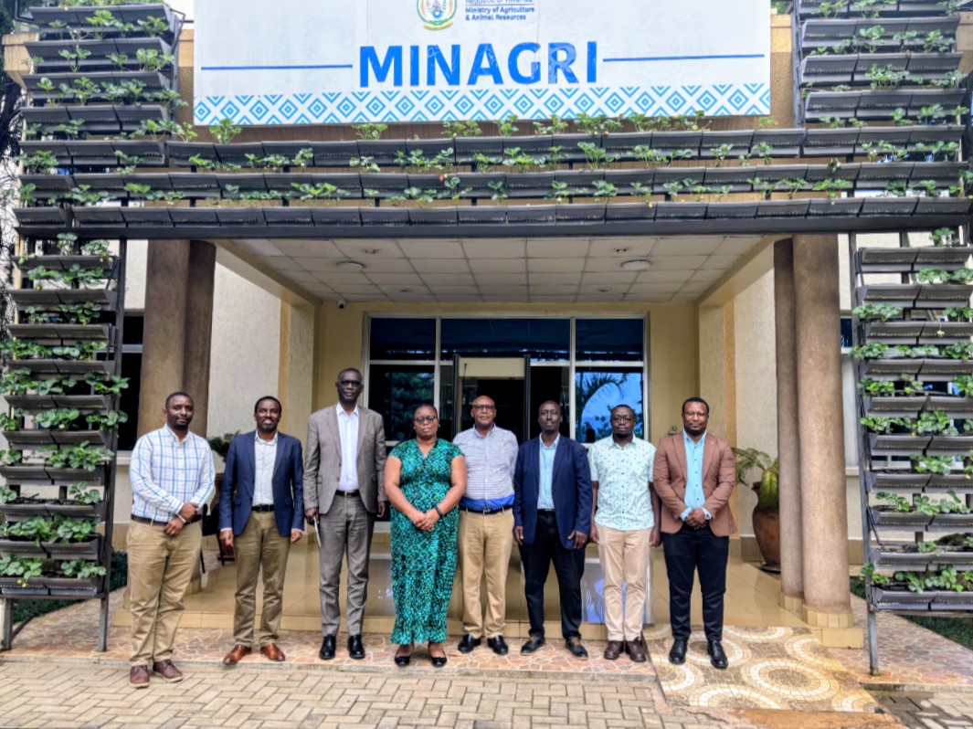 Ministry of Agriculture & Animal Resources |Rwanda tweet media