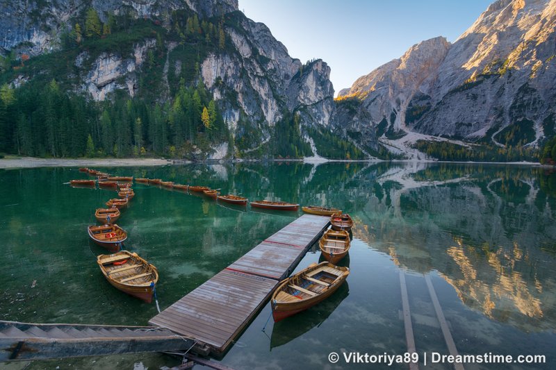 Dreamstime tweet media