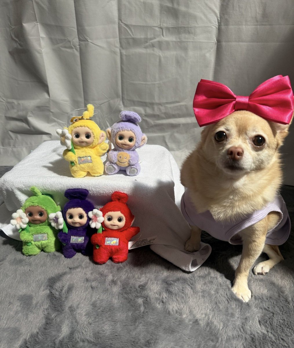 🧚🏻♀️🎀 Tinkerbell 🎀🧚🏻♀️ tweet media