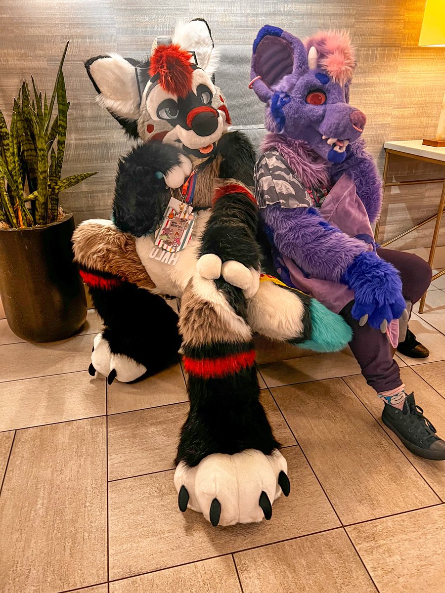 𝐻𝒜𝒱𝐼𝒦 🔜 furlandia!! tweet media