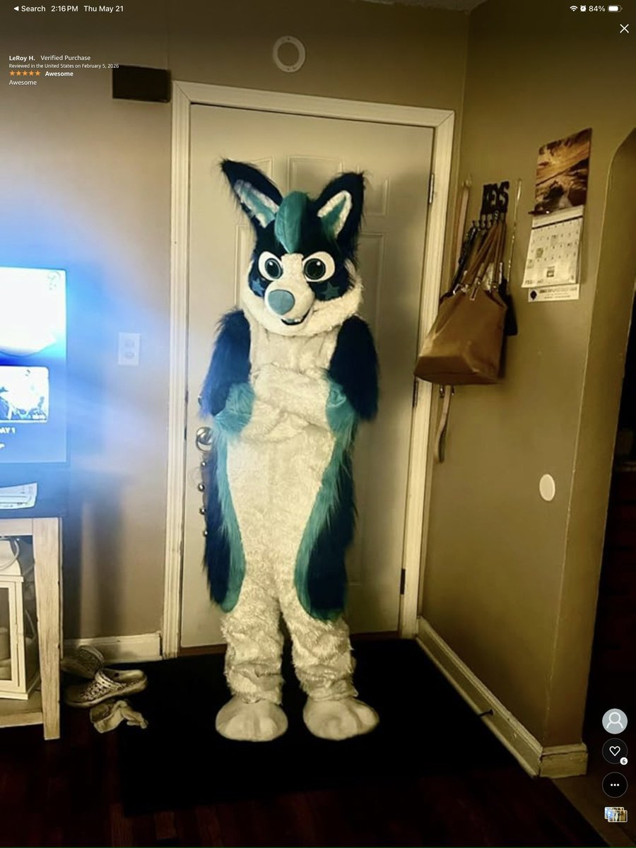 NovaFluffyHusky 🔜 MP? 🩵 tweet media