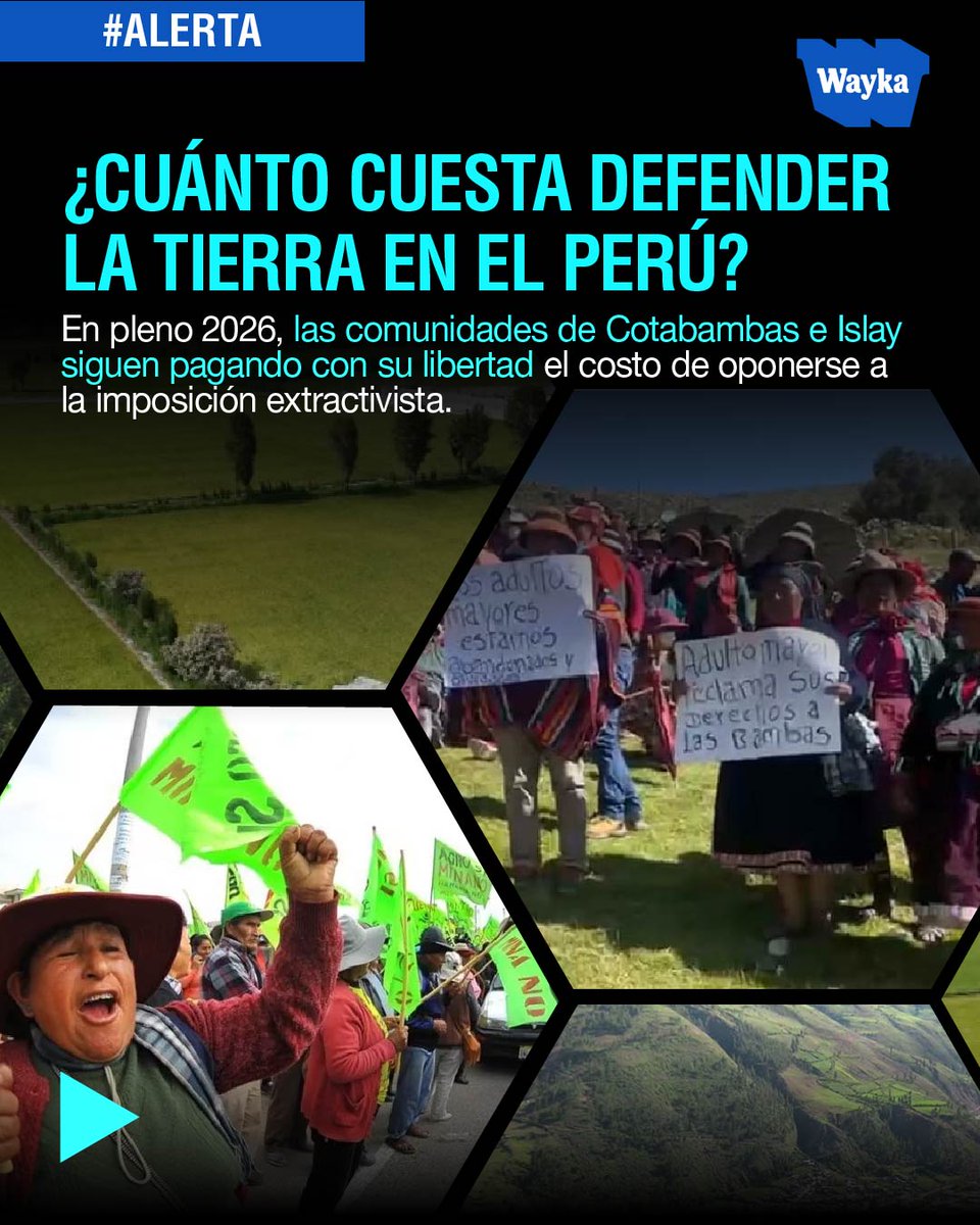 🇵🇪 Wayka tweet media