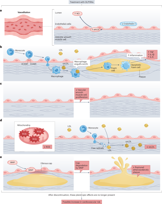 Nature Reviews Endocrinology tweet media