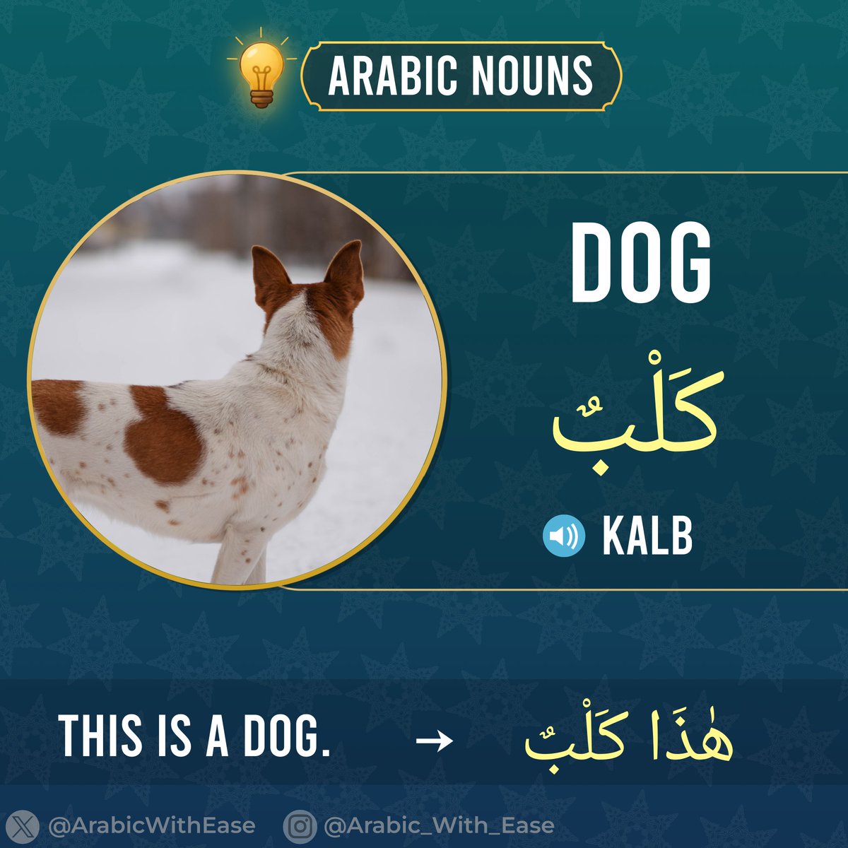 Arabic With Ease tweet media