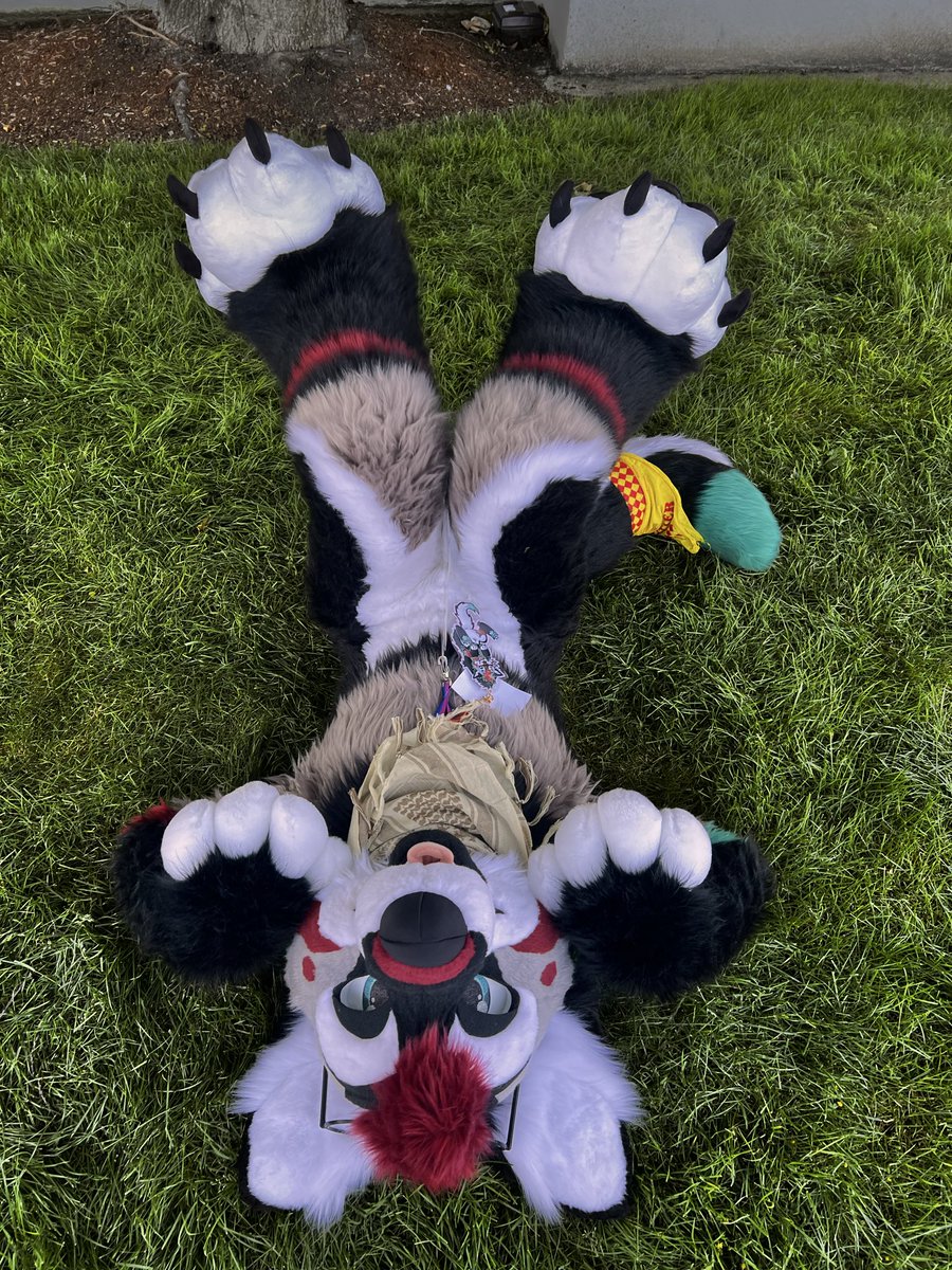 𝐻𝒜𝒱𝐼𝒦 🔜 furlandia!! tweet media
