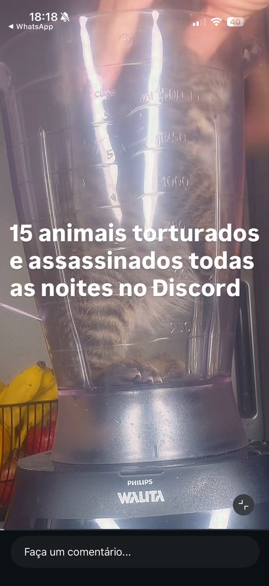 Tamarineira tweet media