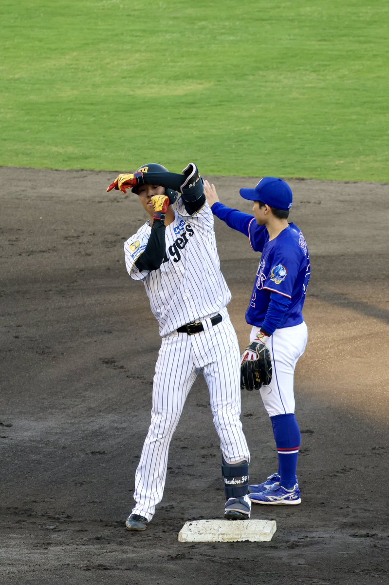 守護の嫁 tweet media