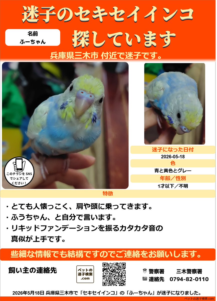 インコ様ご確認用ページ！