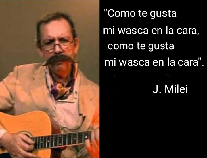 Aldo, el Mapache ⭐⭐⭐ tweet media