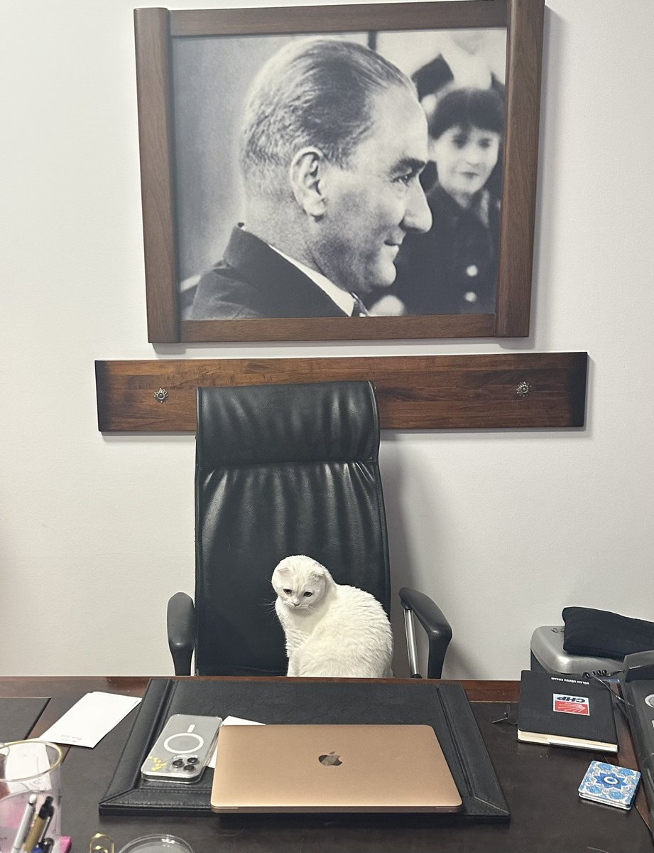 Nimet Özdemir tweet media