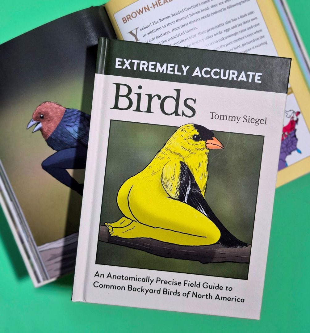 JasonQG's tweet photo. @RespectfulMemes Sgel is 2 letters away from Siegel, as in @TommySiegel, the world’s foremost bird leg expert https://t.co/beRN1yqd2r