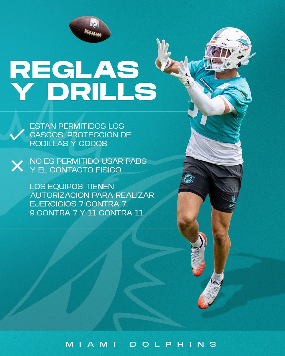 Dolphins en Español tweet media