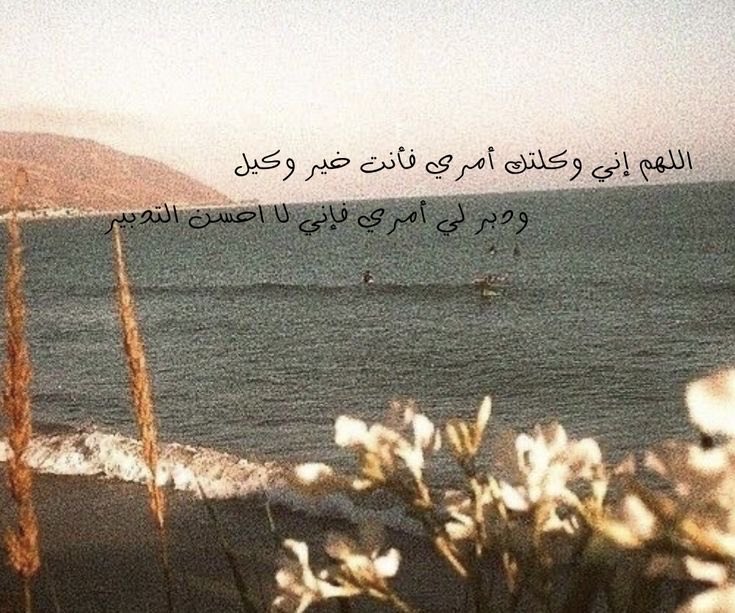 سَكَن tweet media