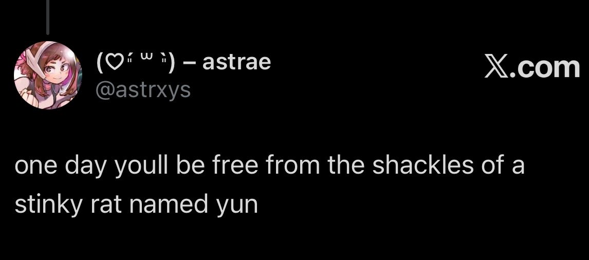 yun tweet media