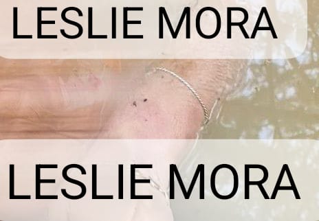 Leslie Mora tweet media