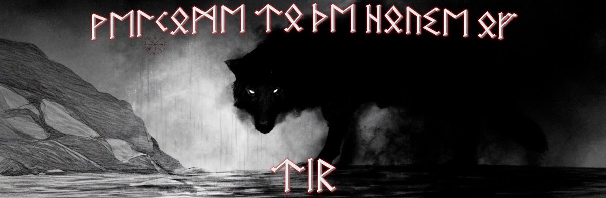 ᚺᚨᛁᛚ ᛏ The House Of Tyr ᛏ ᚺᚨᛁᛚ tweet media