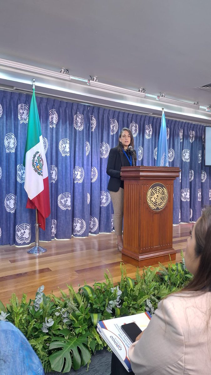 Comité BBF México tweet media