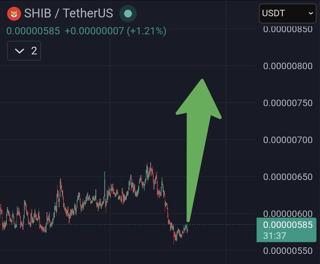 $SHIB KNIGHT tweet media