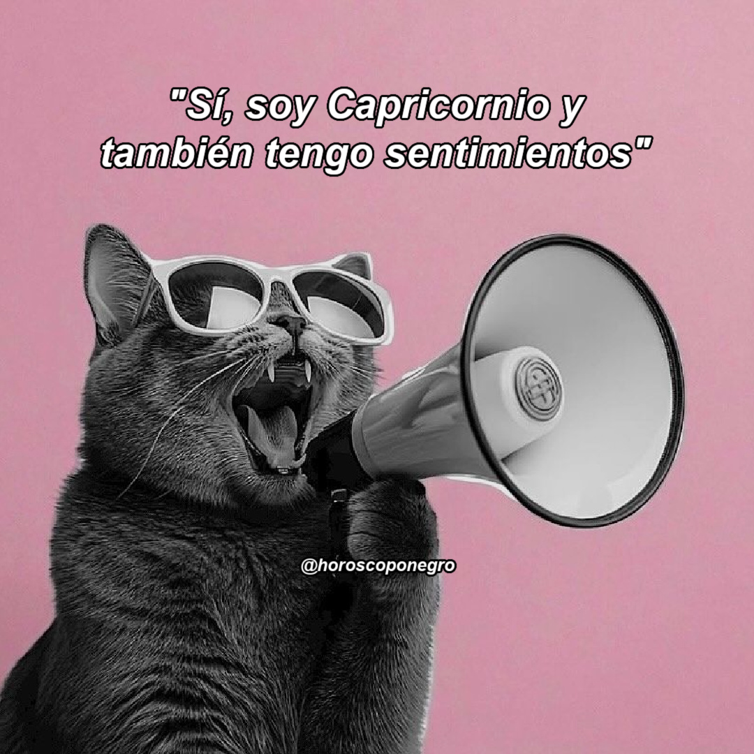 capricornio_hn's tweet photo. Ya no podemos callarnos más! 😅😂 https://t.co/ChUnCEd3Qv