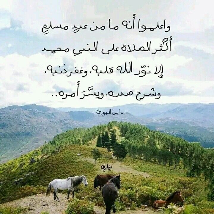 haytheemhassan's tweet photo. تذكير يوم الجمعة : https://t.co/xVhlkPSsVj