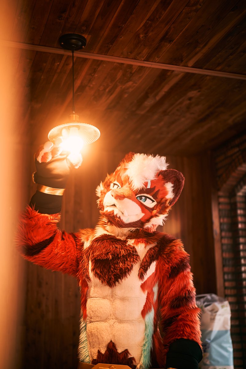 하보크 Havoc🔜Furrymosa tweet media