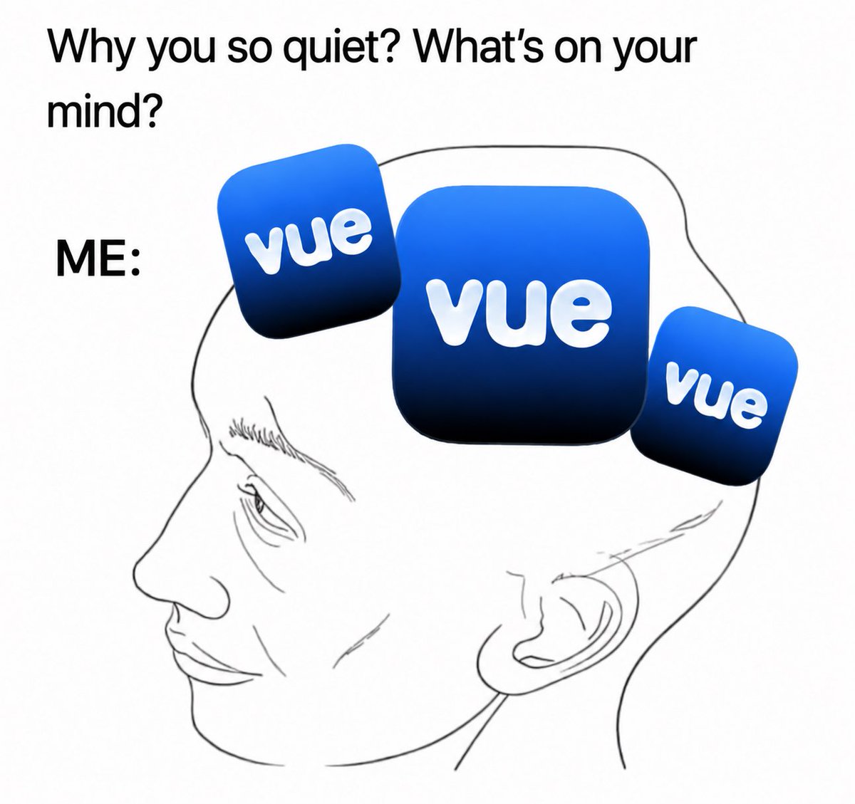 vuecam tweet media