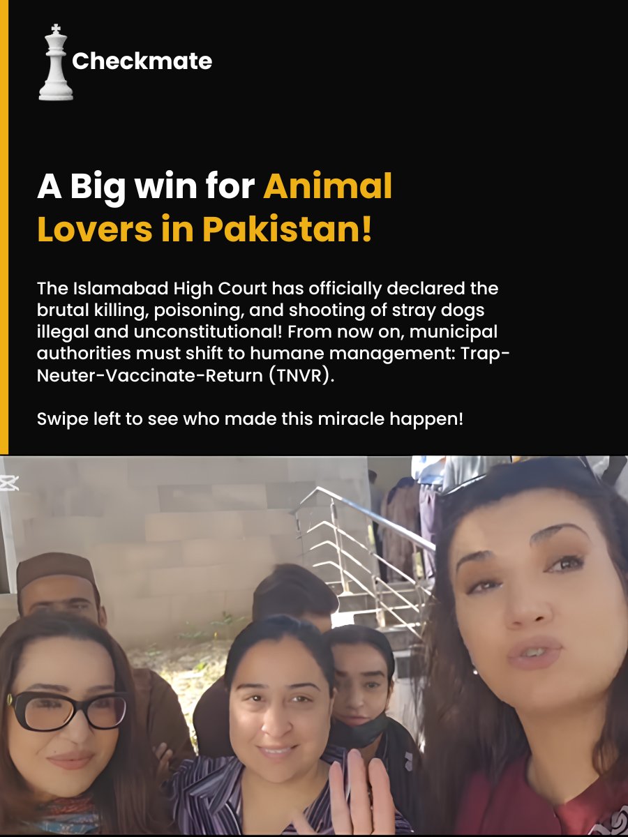 Checkmate Media tweet media