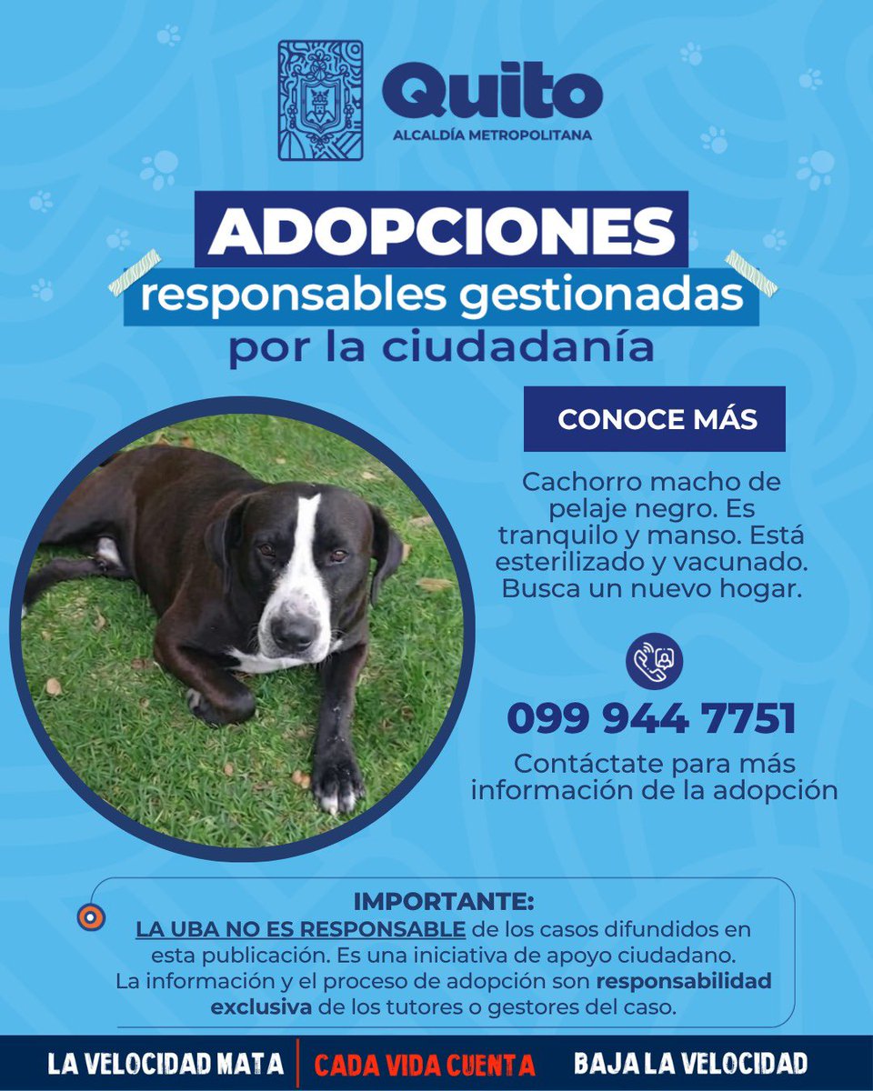 Unidad de Bienestar Animal Quito tweet media