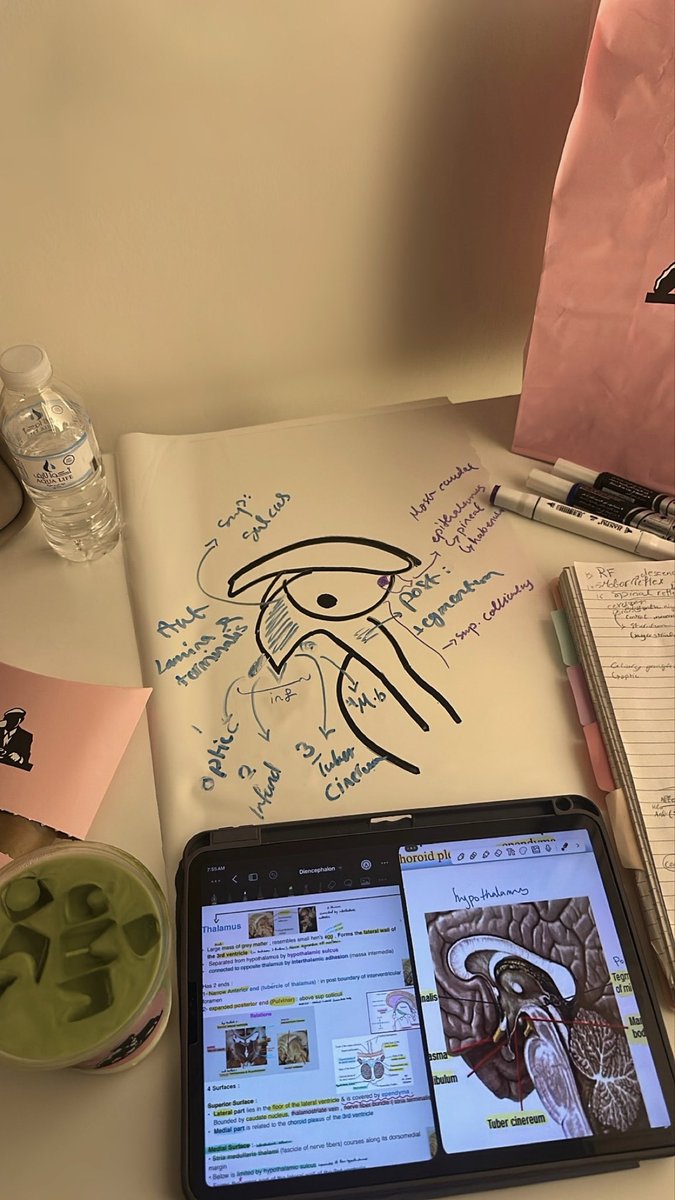 _Dr_H's tweet photo. CNS🧠✔️ https://t.co/vTaBbZh0tp