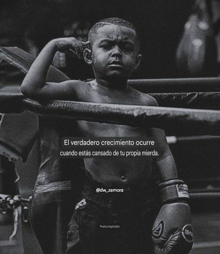 Thomas Lizana tweet media