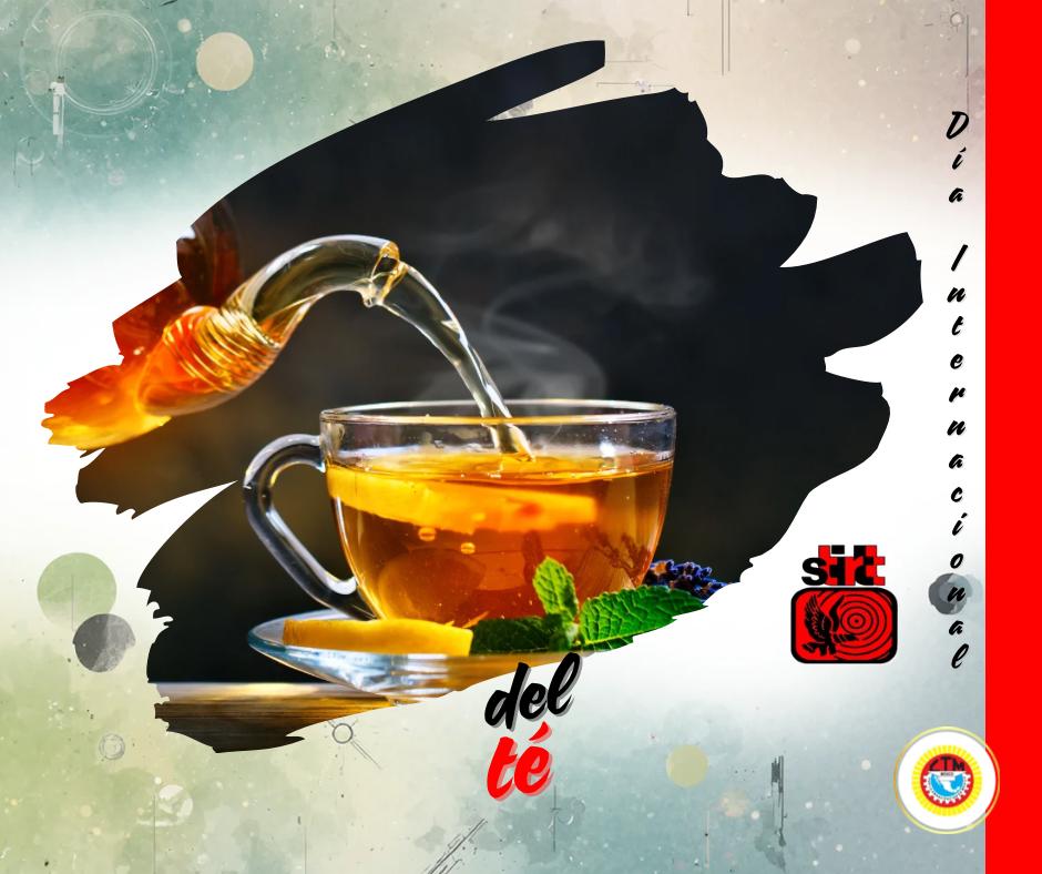 STIRTT TOLUCA tweet media