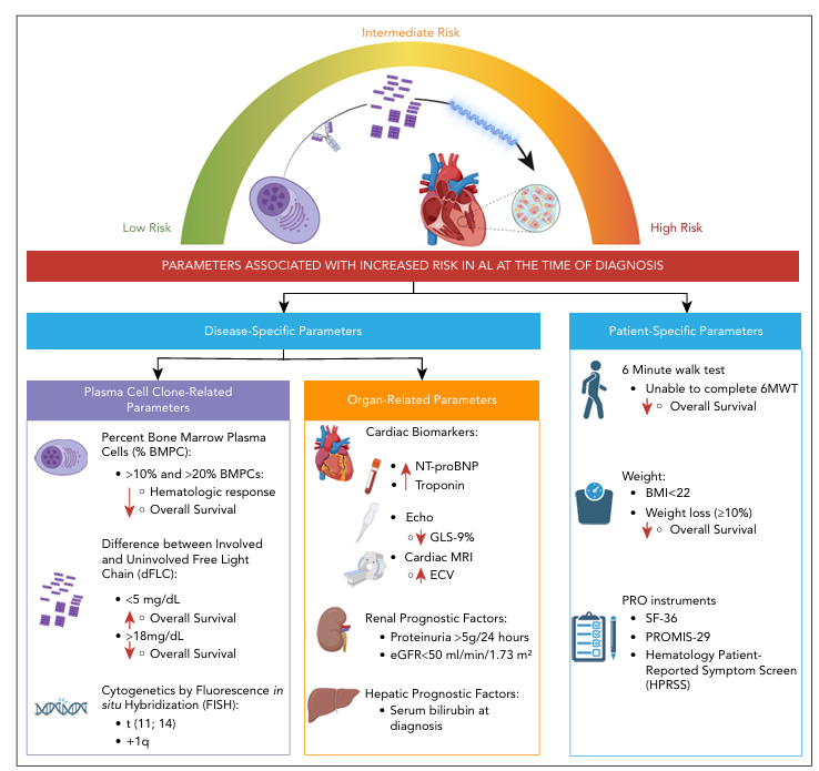 rajshekharucms's tweet photo. The treatment landscape for AL #Amyloidosis has been transformed—but how do we assess prognosis and progression in the current era? We reviewed the current evidence on prognostic factors and biomarkers for hematologic and organ progression in this special report, out today in @BloodPortfolio. @Amyloidosis_ARC @YevgeniyBr @awechalekar @MathewMaurer @kristennhsu 
https://t.co/UwdIaMm0d6