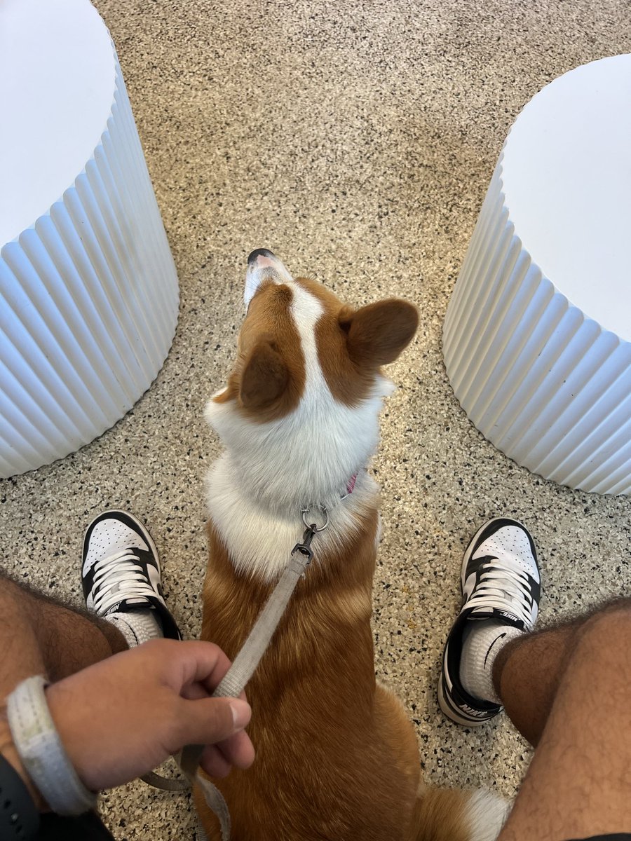Jefe30_'s tweet photo. Deleting X again, this app is nothing but fear mongering, rage bait, and videos of people dying. 😂 me and dawg say adios. https://t.co/VSMsvSpq2a