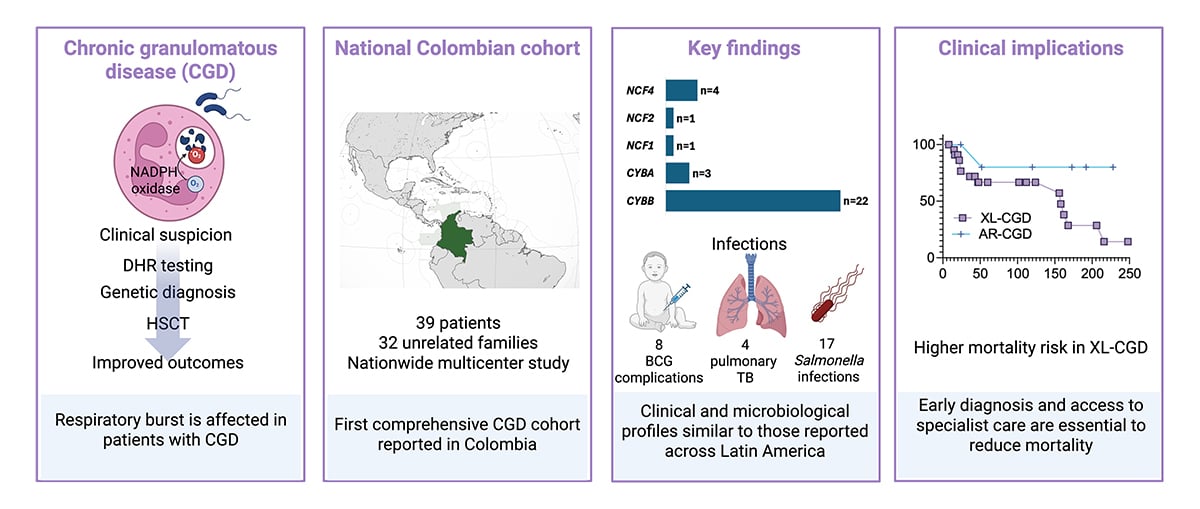 jhumimmunity's tweet photo. Clinical, microbiological and genetic analysis of 39 patients with chronic granulomatous disease in Colombia expands the regional spectrum of #CGD variants and highlights the need for earlier diagnosis and improved access to specialist testing. https://t.co/zXTEMX4vzj https://t.co/fMFqdMz2XV