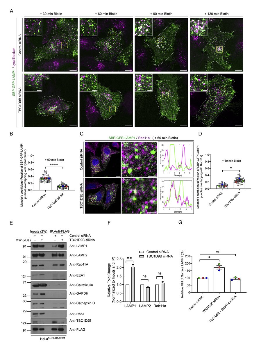 Journal of Cell Biology tweet media