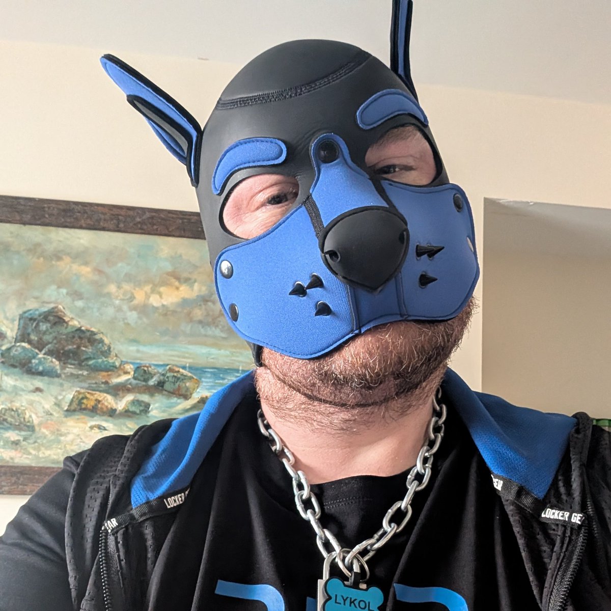 AlphaDogLykol's tweet photo. So I'm back, bit different to what some may know me as but this is the real kinkster me!

Horny alpha top dog at your service. I'm a good boy and love to breed! https://t.co/mVPZQRQiU3