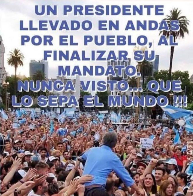 silvia rodriguez 💛 😺 tweet media