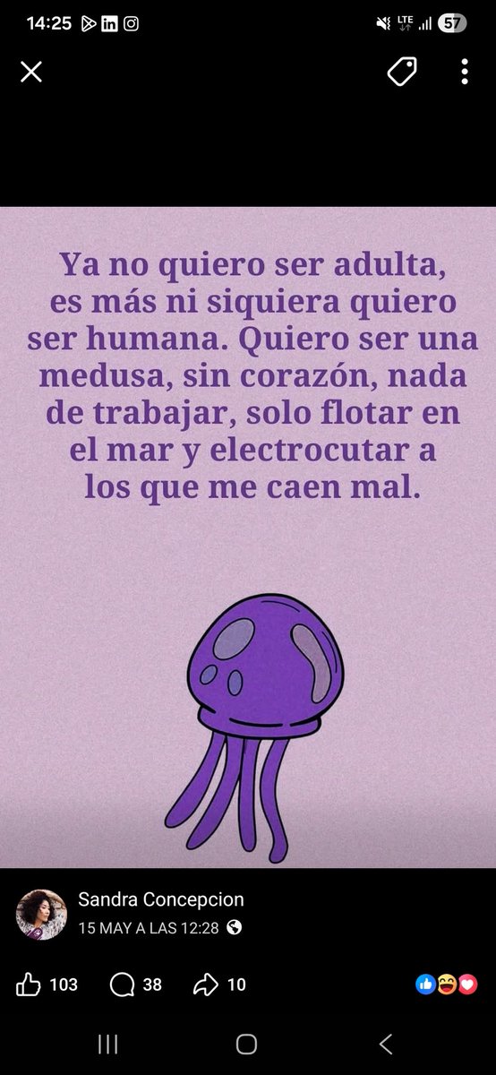 lalocadelosgatos tweet media