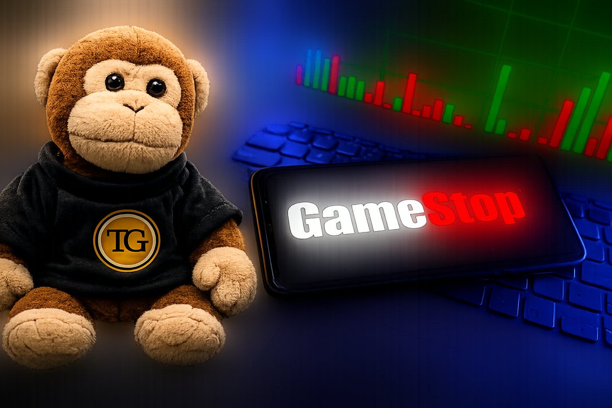 TIMMY THE MONKEY CTO tweet media