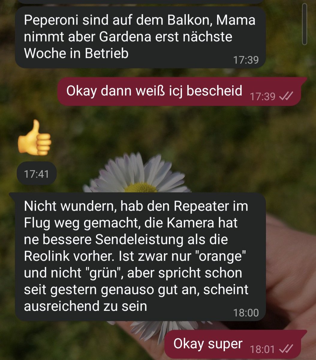 Phoenix tweet media