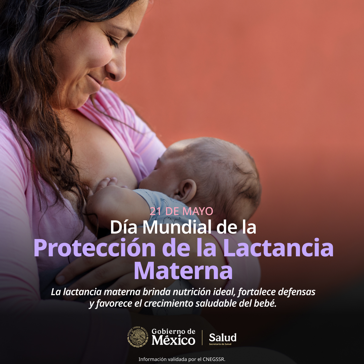 SSalud_mx's tweet photo. 21 de mayo I Día Mundial de la Protección de la Lactancia Materna 🤱🏻

La lactancia materna no solo alimenta, también protege y fortalece el vínculo emocional entre la madre y el o la bebé. 👩🏻💗👶🏻

Hoy, en el Día Mundial de la Protección de la Lactancia Materna, recordamos la importancia de crear entornos seguros, libres de prejuicios y con apoyo real para que todas las madres puedan amamantar si así lo deciden.  🫶🏽

Proteger la lactancia es proteger el futuro.
